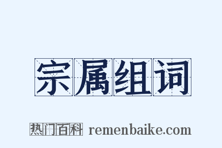宗属组词是什么意思的图片